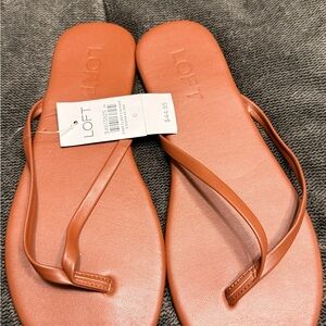 LOFT Women's Brown Sandals